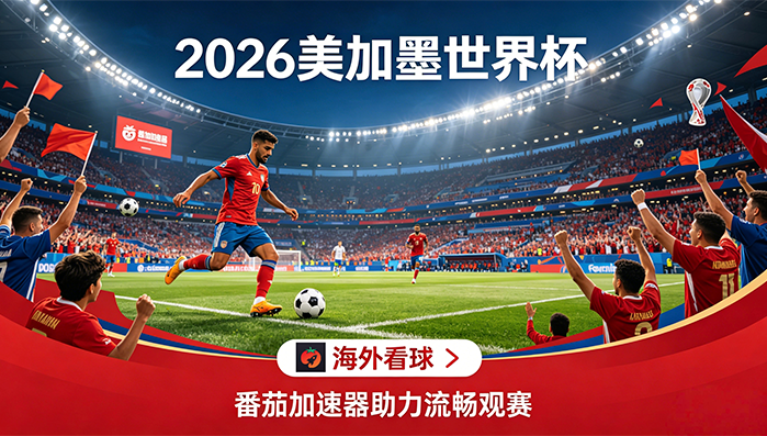 在韩国看央视频世界杯无法播放教程